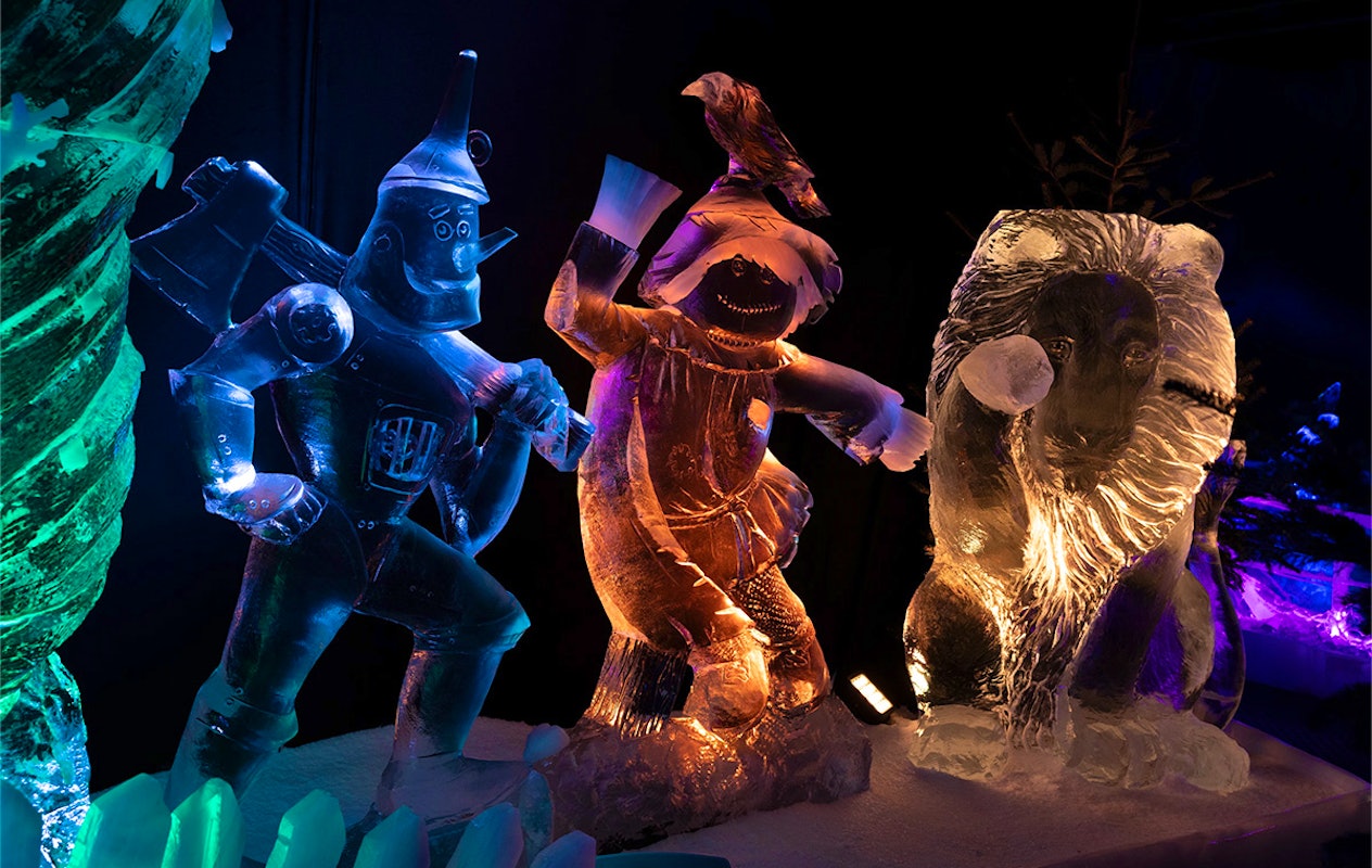 Entreeticket Het Nederlands IJsbeelden Festival