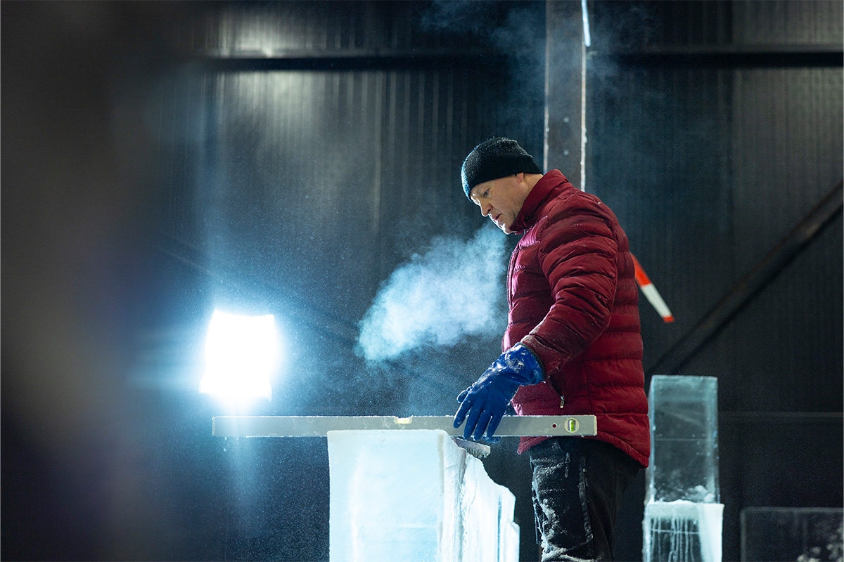 Entreeticket Het Nederlands IJsbeelden Festival