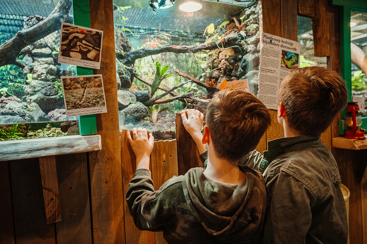 Entreeticket Hof van Eckberge