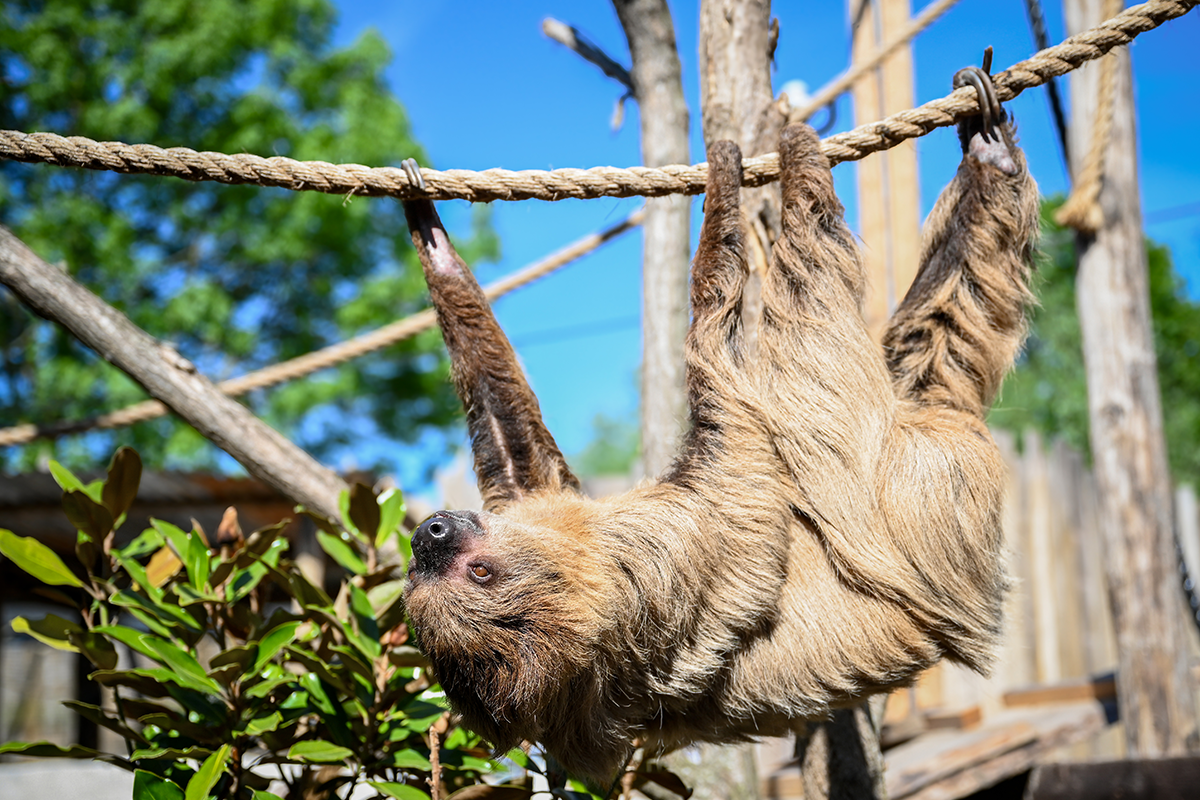 Entreeticket Hof van Eckberge