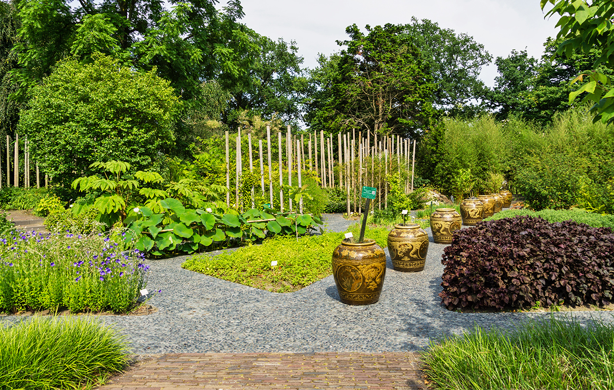 Entreeticket Hortus botanicus Leiden