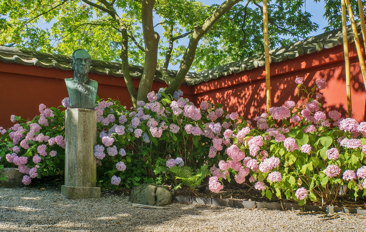 Entreeticket Hortus botanicus Leiden