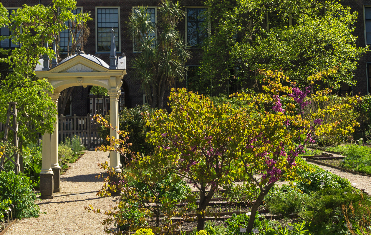 Entreeticket Hortus botanicus Leiden