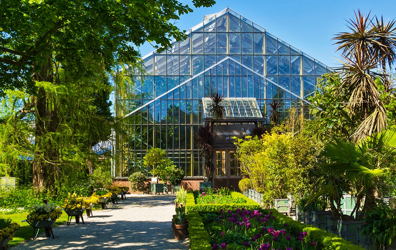 Entreeticket Hortus botanicus Leiden
