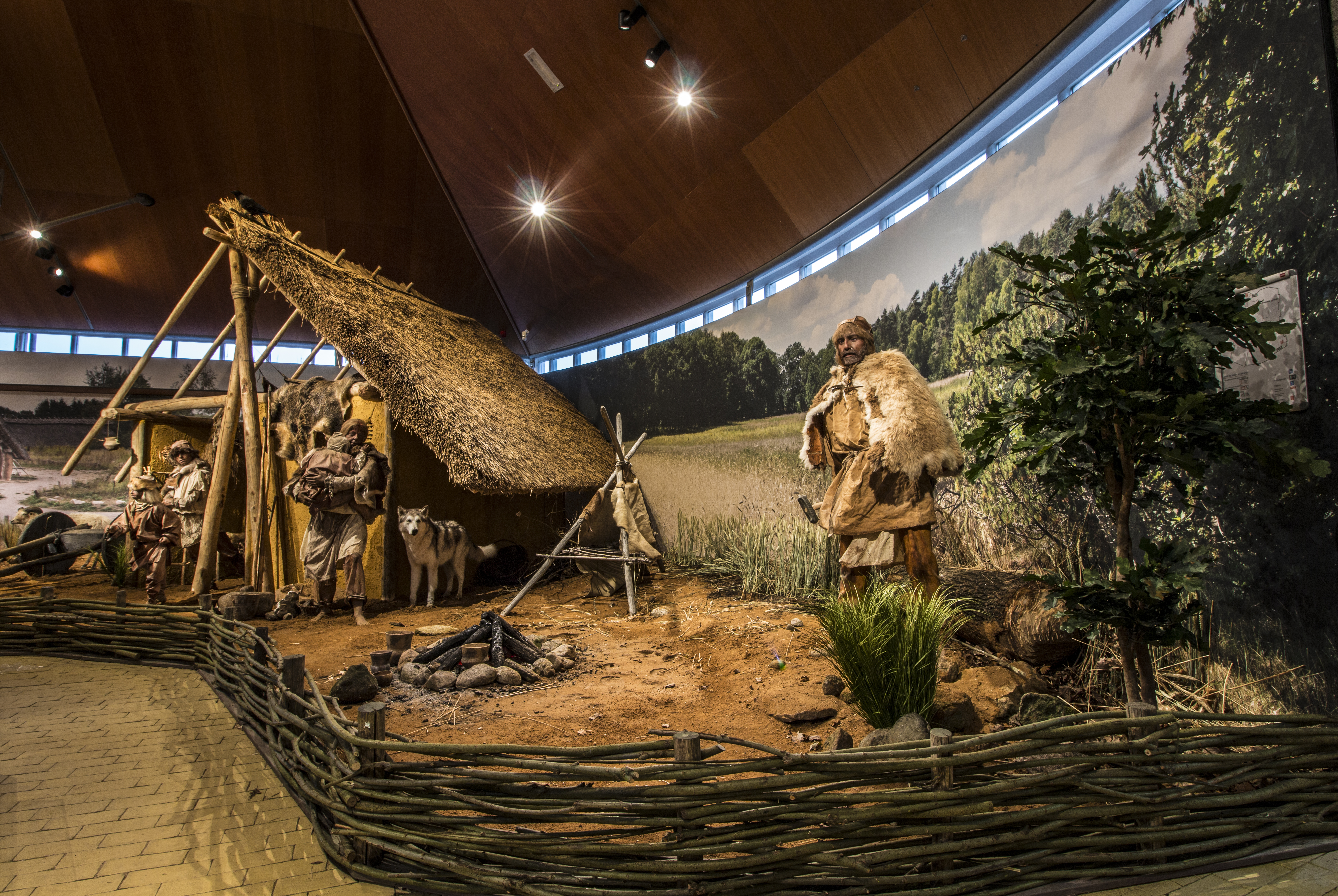 Entreeticket Hunebedcentrum