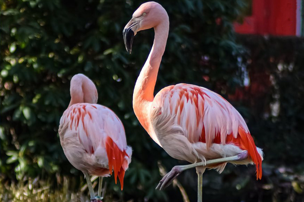 Entreeticket Jaderpark