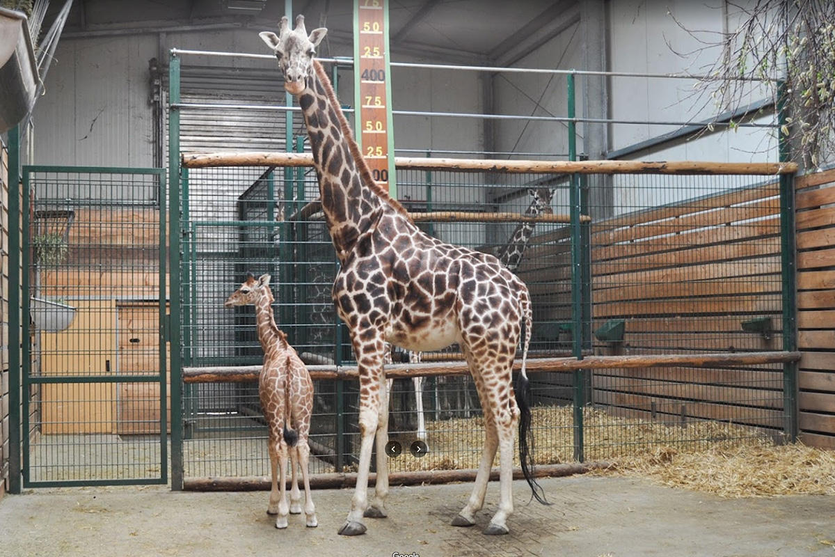 Entreeticket Jaderpark