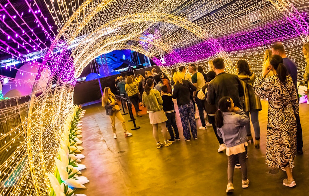 Entreeticket Japan & Korea Food & Light Festival Zaanstad 2025