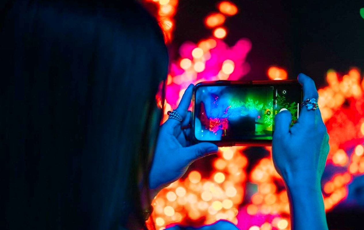 Entreeticket Japan & Korea Food & Light Festival Zaanstad 2025