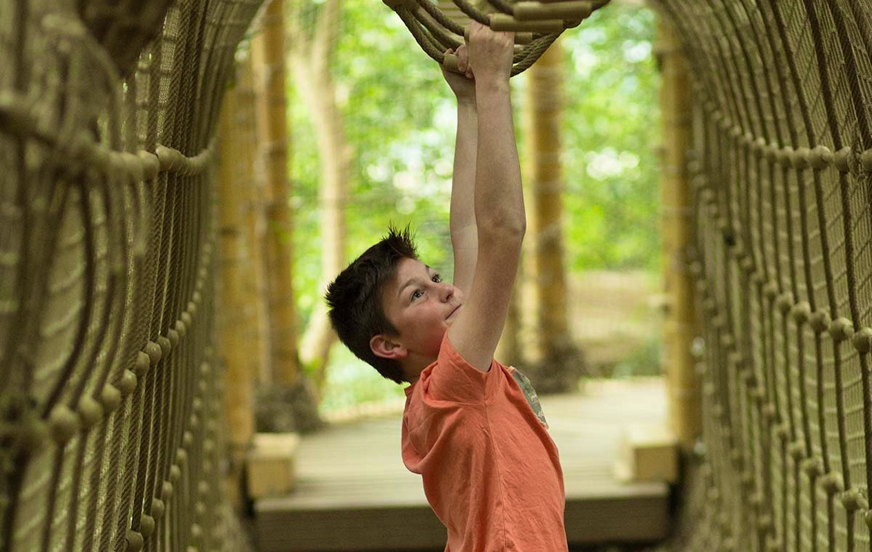 Entreeticket Jungle Dome Het Heijderbos