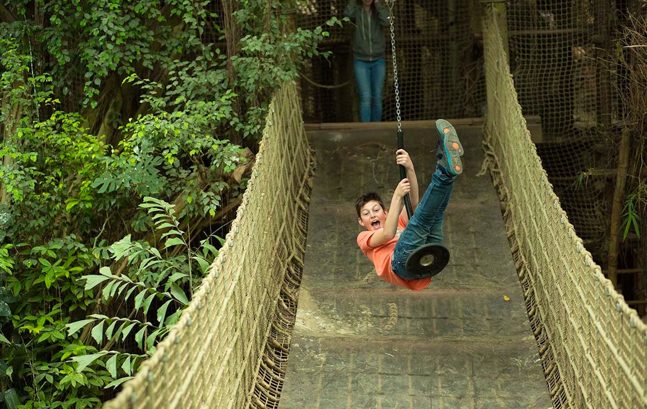 Entreeticket Jungle Dome Het Heijderbos