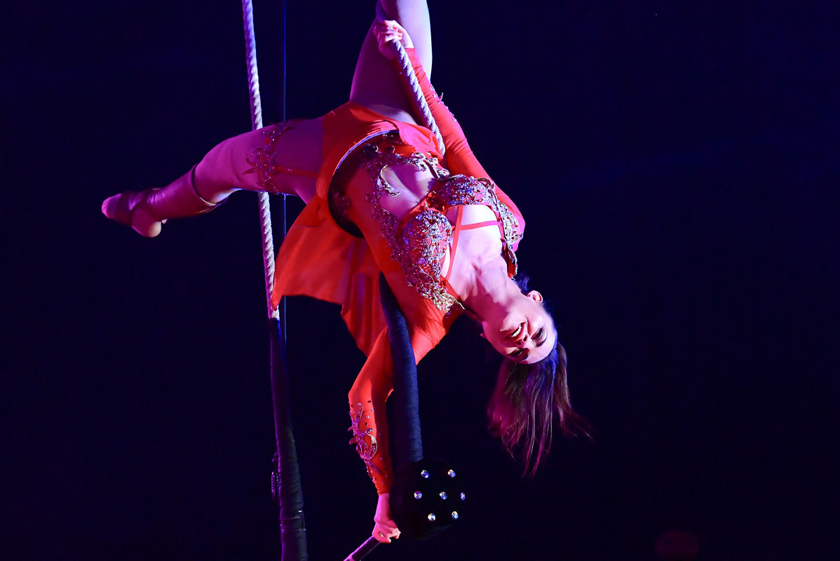 Entreeticket Kerstcircus Nijmegen