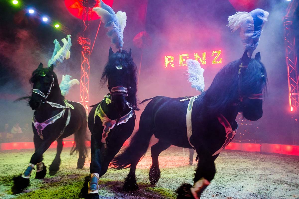 Entreeticket Circus Renz Berlin in Uithoorn