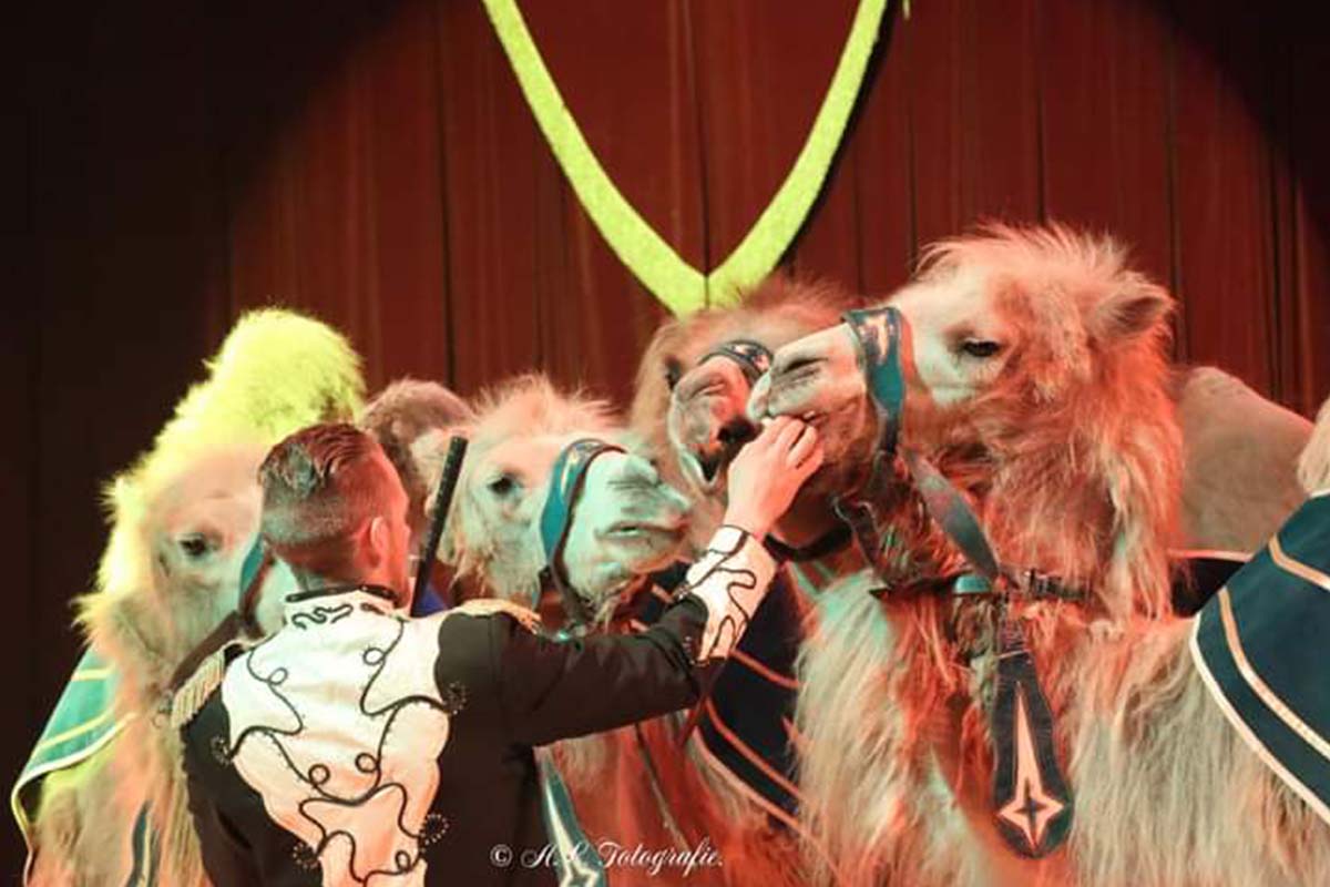 Entreeticket Circus Renz Berlin in Uithoorn