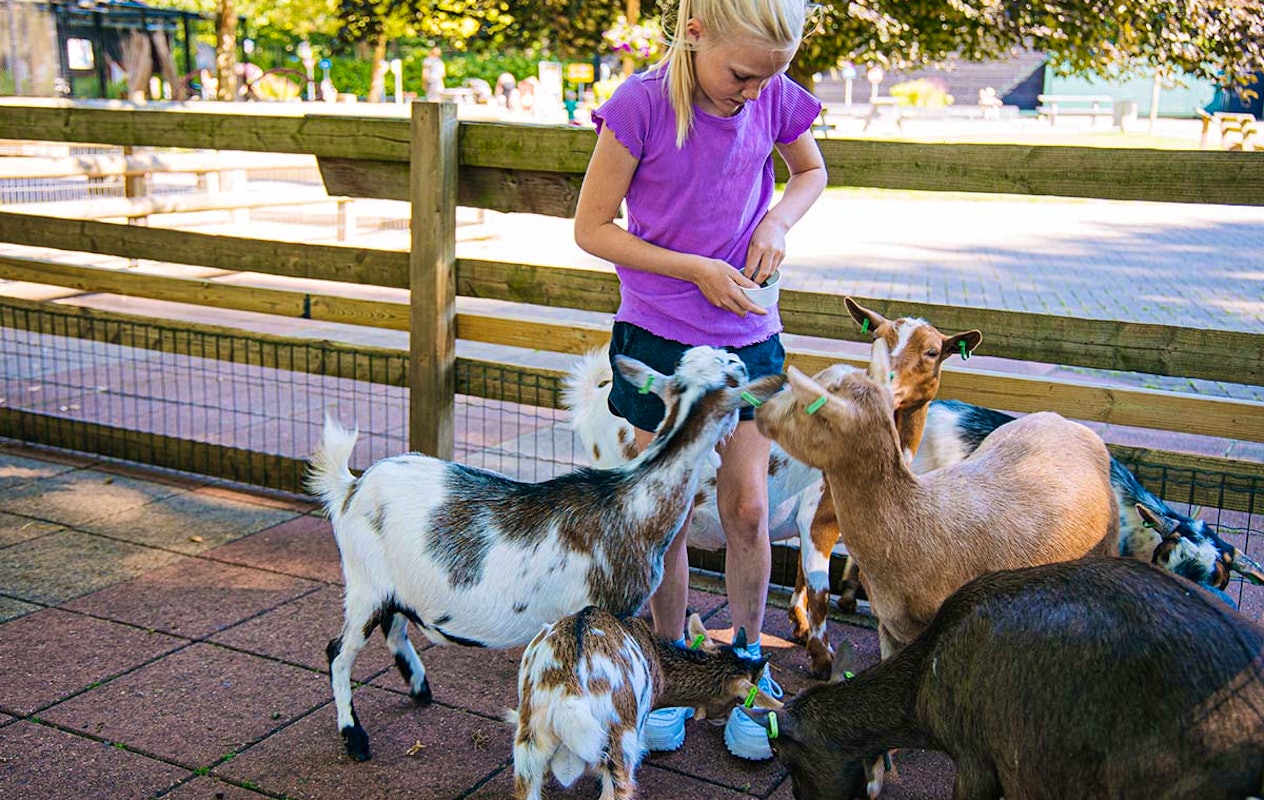 Entreeticket Kinderparadijs Malkenschoten
