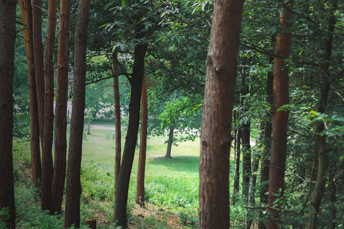 Entreeticket Klimbos Park het Plateau