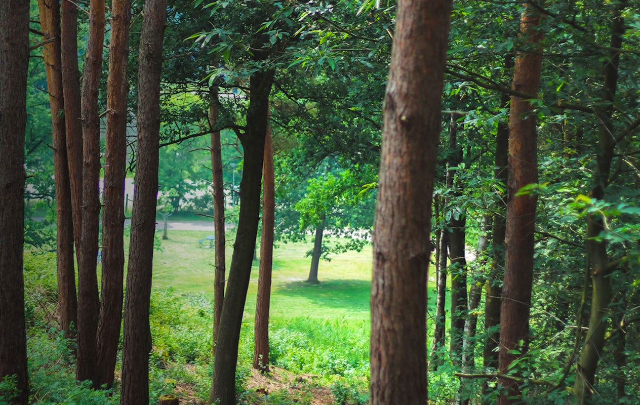 Entreeticket Klimbos Park het Plateau