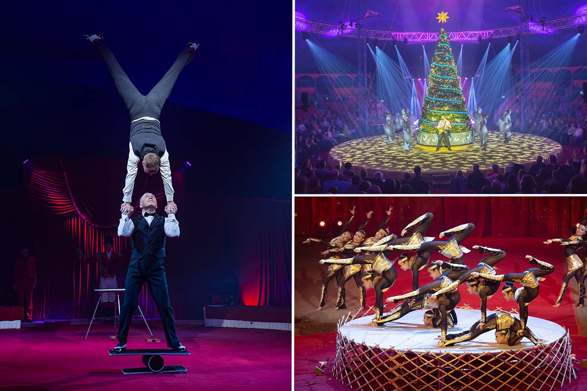 Toegangsticket Kölner Weihnachtscircus