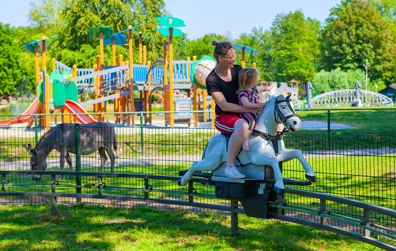 Entreeticket Familiepark Nienoord