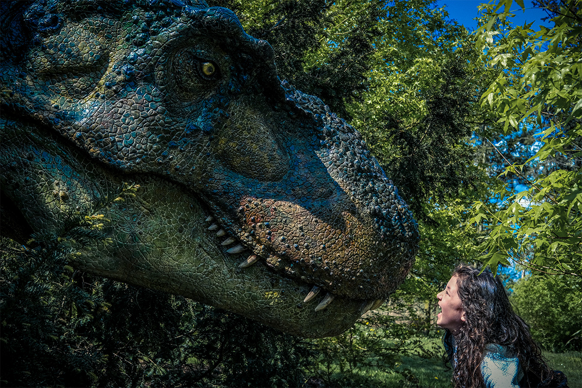 Entreeticket Landgoed Tenaxx + snackmenu