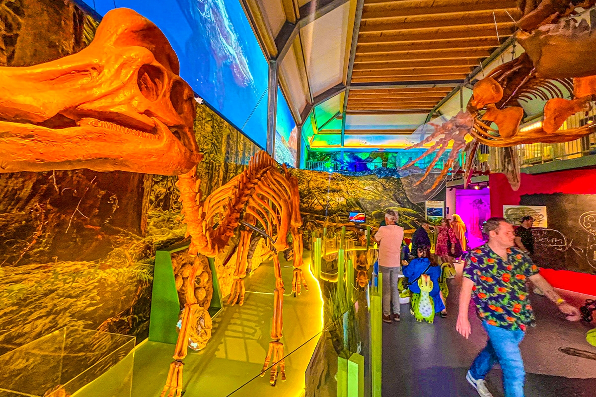 Entreeticket Landgoed Tenaxx + snackmenu