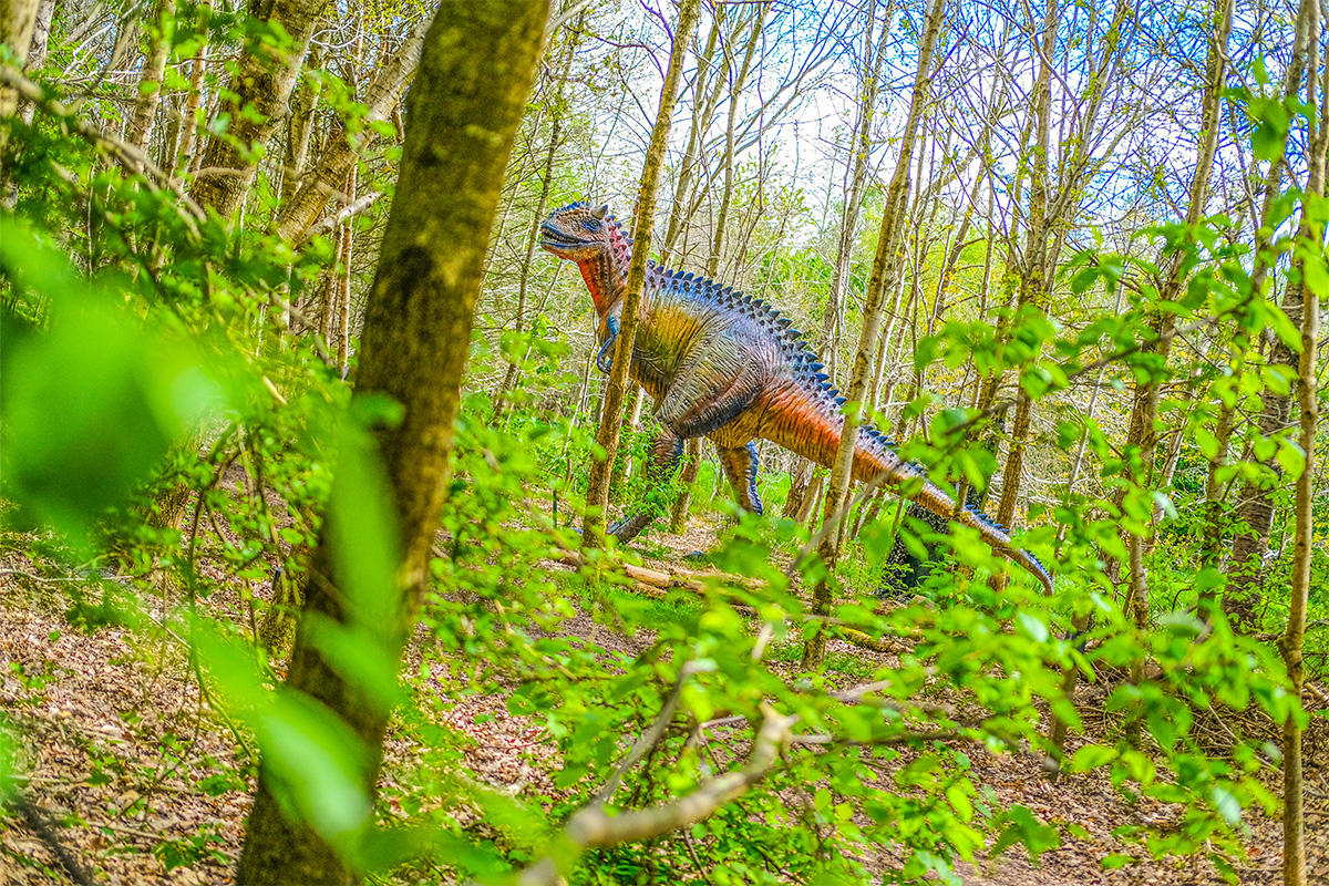 Entreeticket Landgoed Tenaxx + snackmenu