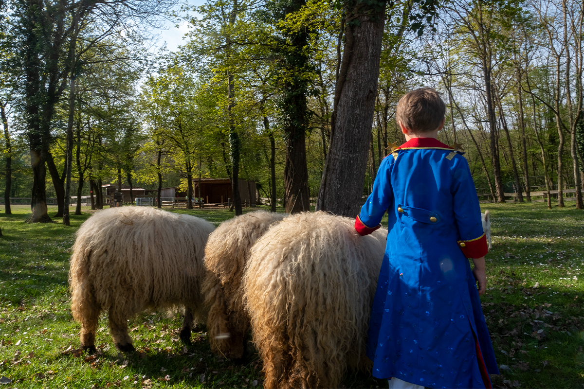 Billet d'entrée au Parc du Petit Prince