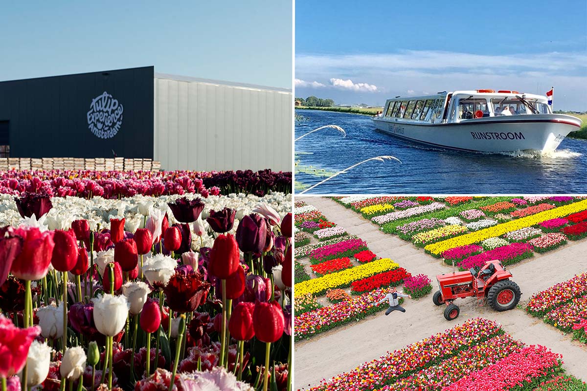 Lentecruise met bezoek aan ‘Tulip Experience'