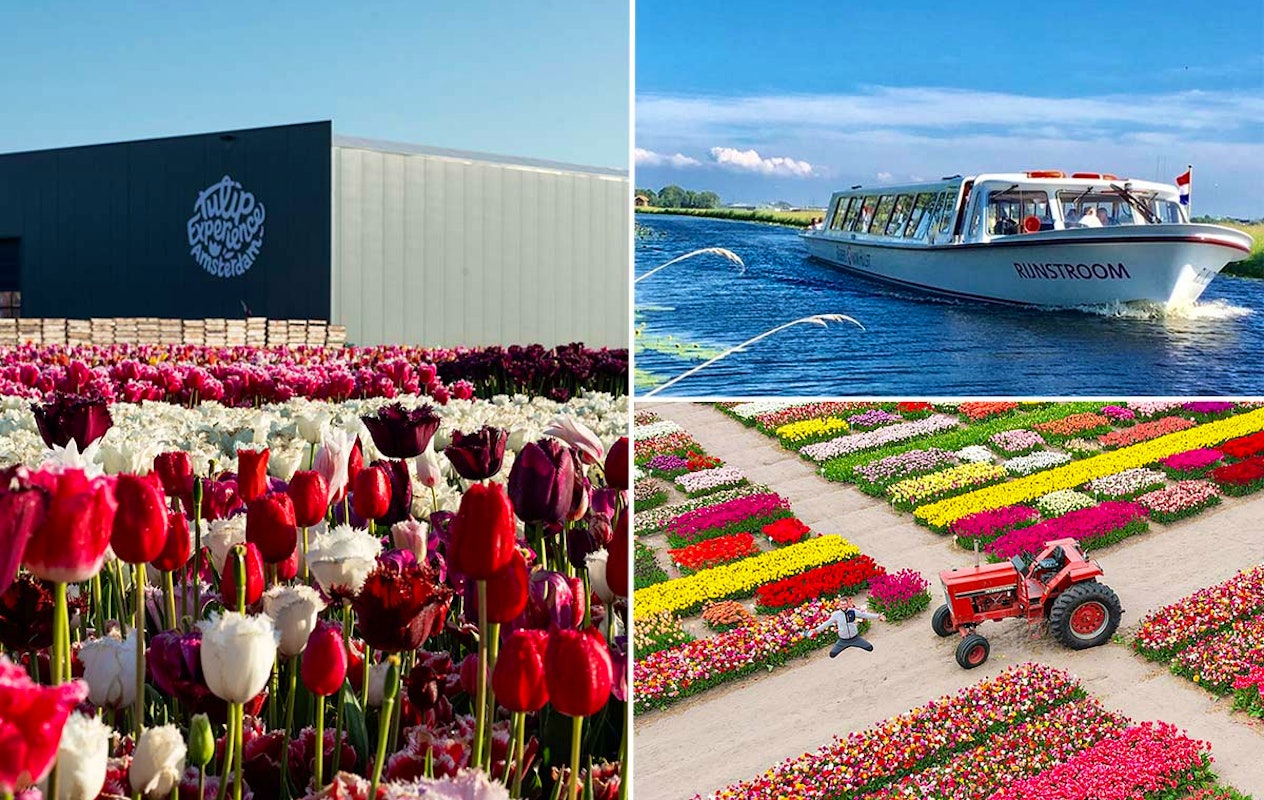 Lentecruise met bezoek aan ‘Tulip Experience'