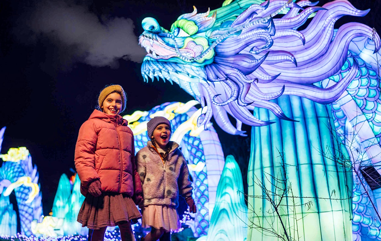 Entreeticket Light Safari Beekse Bergen