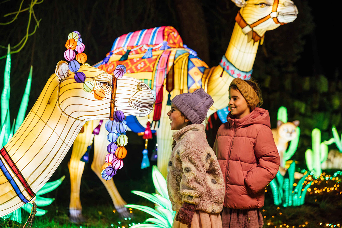 Entreeticket Light Safari Beekse Bergen