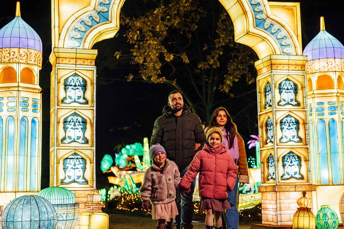 Entreeticket Light Safari Beekse Bergen