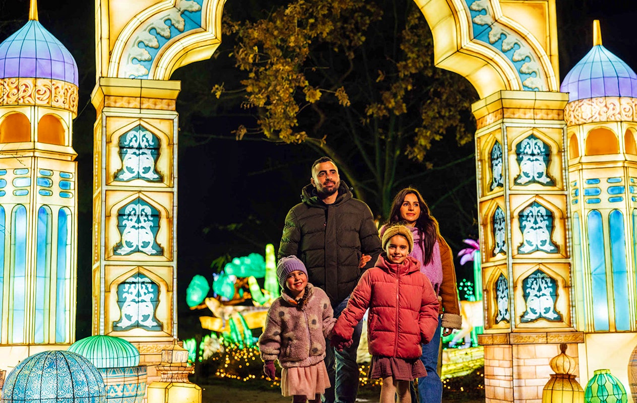 Entreeticket Light Safari Beekse Bergen