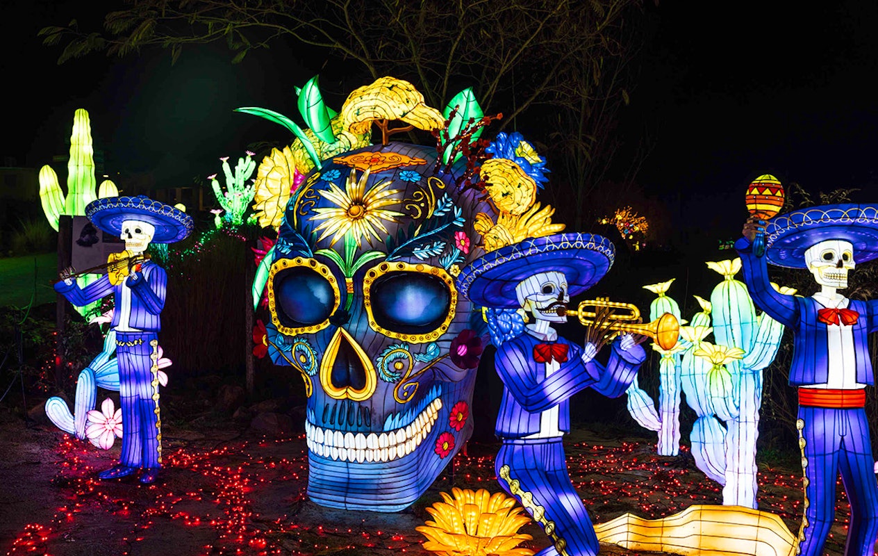 Entreeticket Light Safari Beekse Bergen