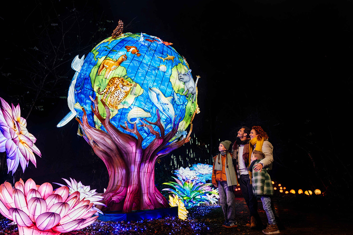 Entreeticket Light Safari Beekse Bergen