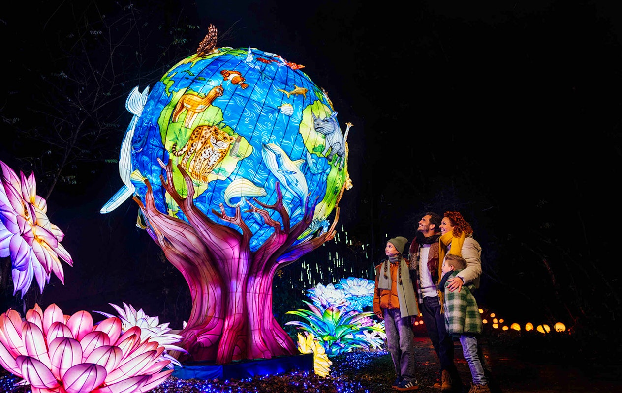Entreeticket Light Safari Beekse Bergen