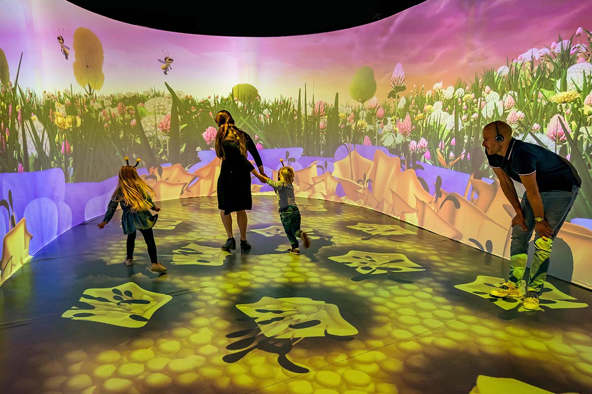 Entreeticket MAYA en het Honingfeest 