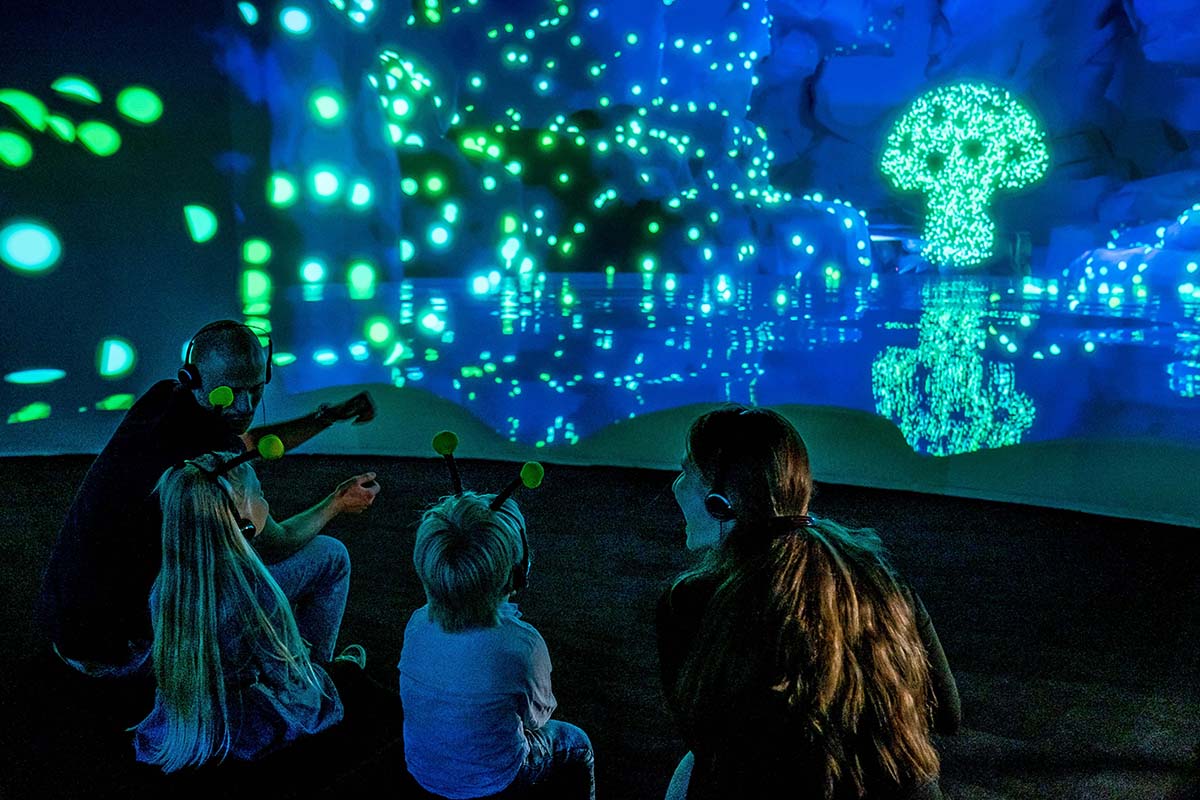 Entreeticket MAYA en het Honingfeest 