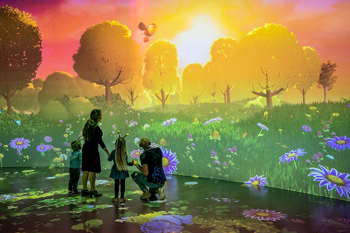 Entreeticket MAYA en het Honingfeest 