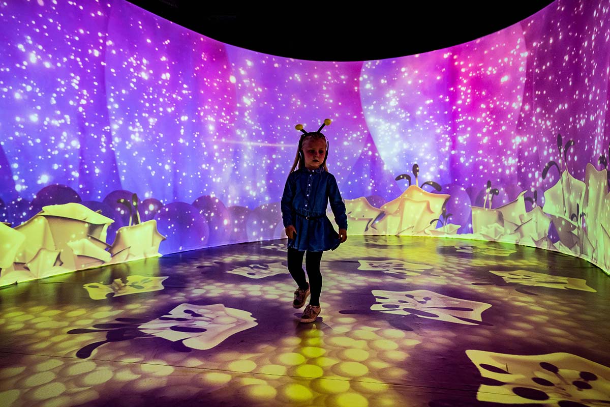 Entreeticket MAYA en het Honingfeest 