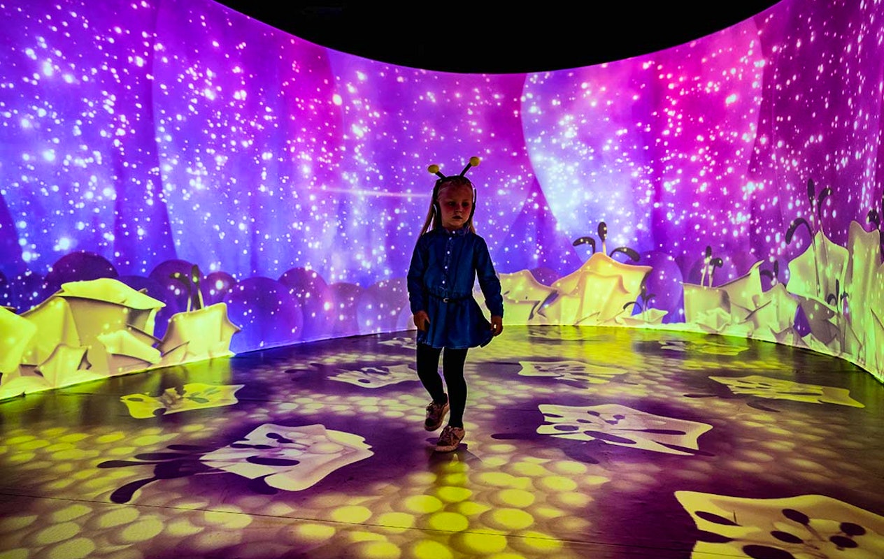 Entreeticket MAYA en het Honingfeest