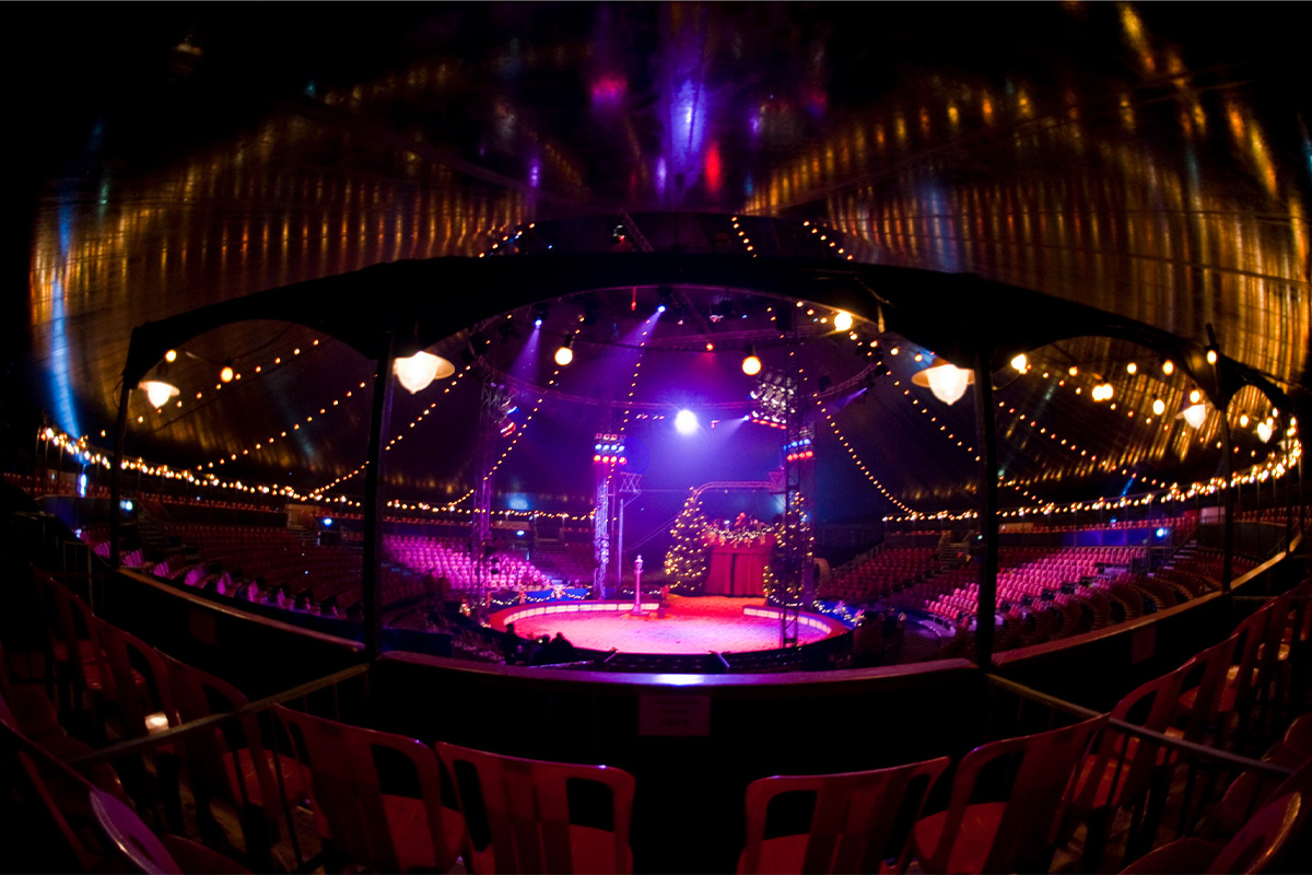 Toegangsticket Tribune B Mega Kerstcircus Haarlem