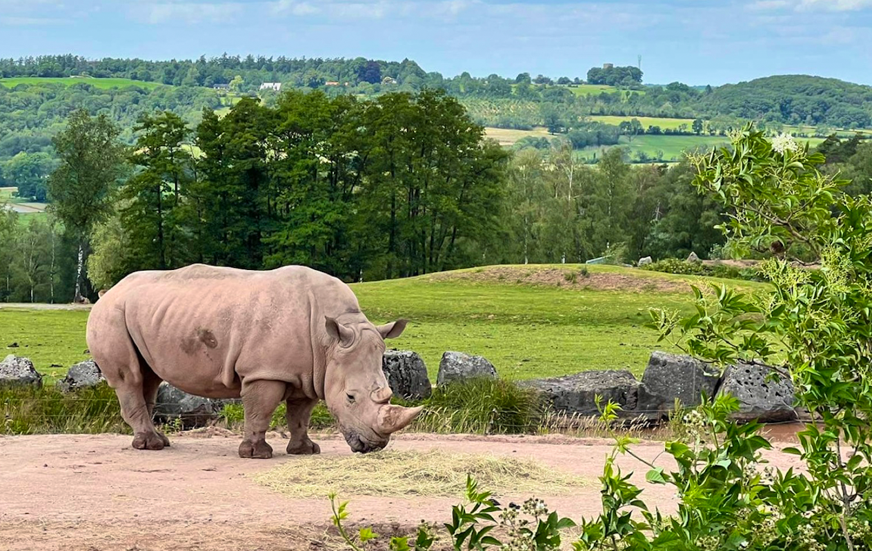 Entreeticket Monde Sauvage Safaripark