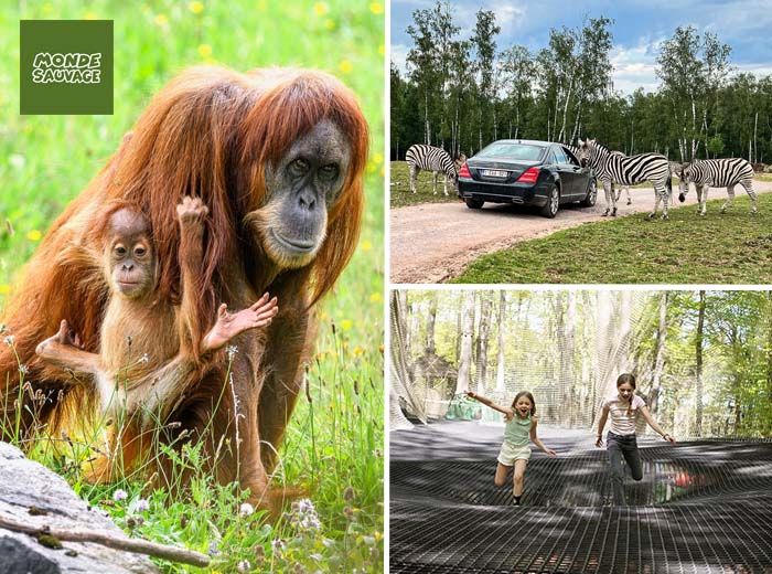 Inkomticket Monde Sauvage Safaripark