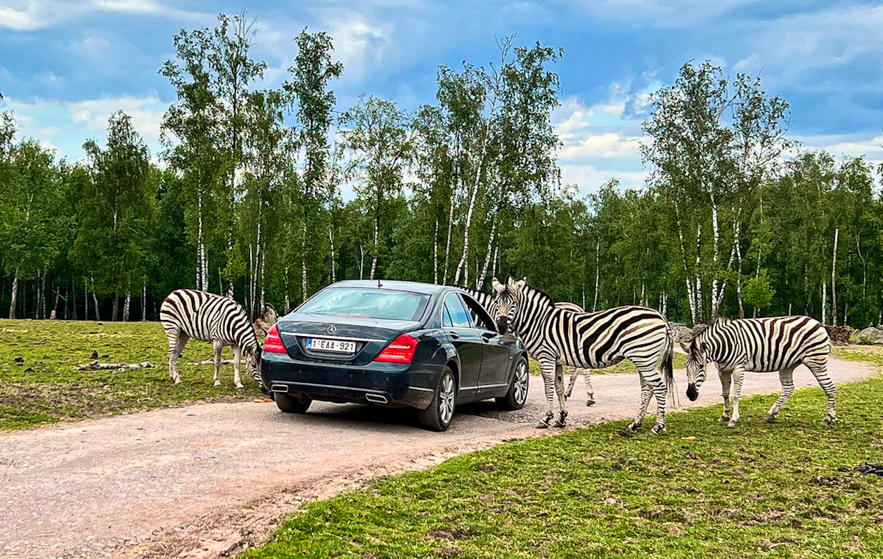 Entreeticket Monde Sauvage Safaripark