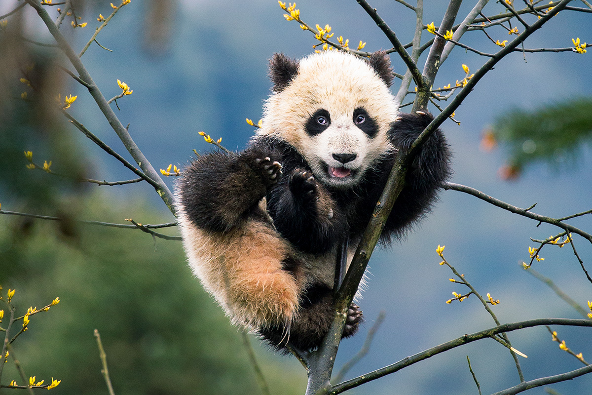 Billet d'entrée au Museon-Omniversum, incluant 1 film sur grand écran