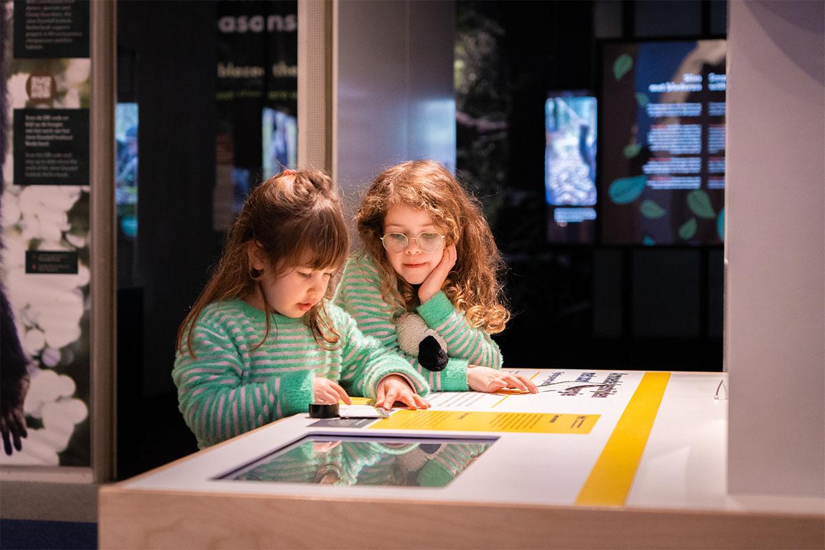 Entreeticket Museon-Omniversum, inclusief 1 grootbeeldfilm