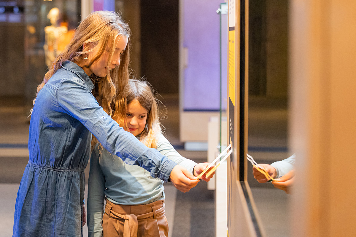 Entreeticket Museon-Omniversum, inclusief 1 grootbeeldfilm