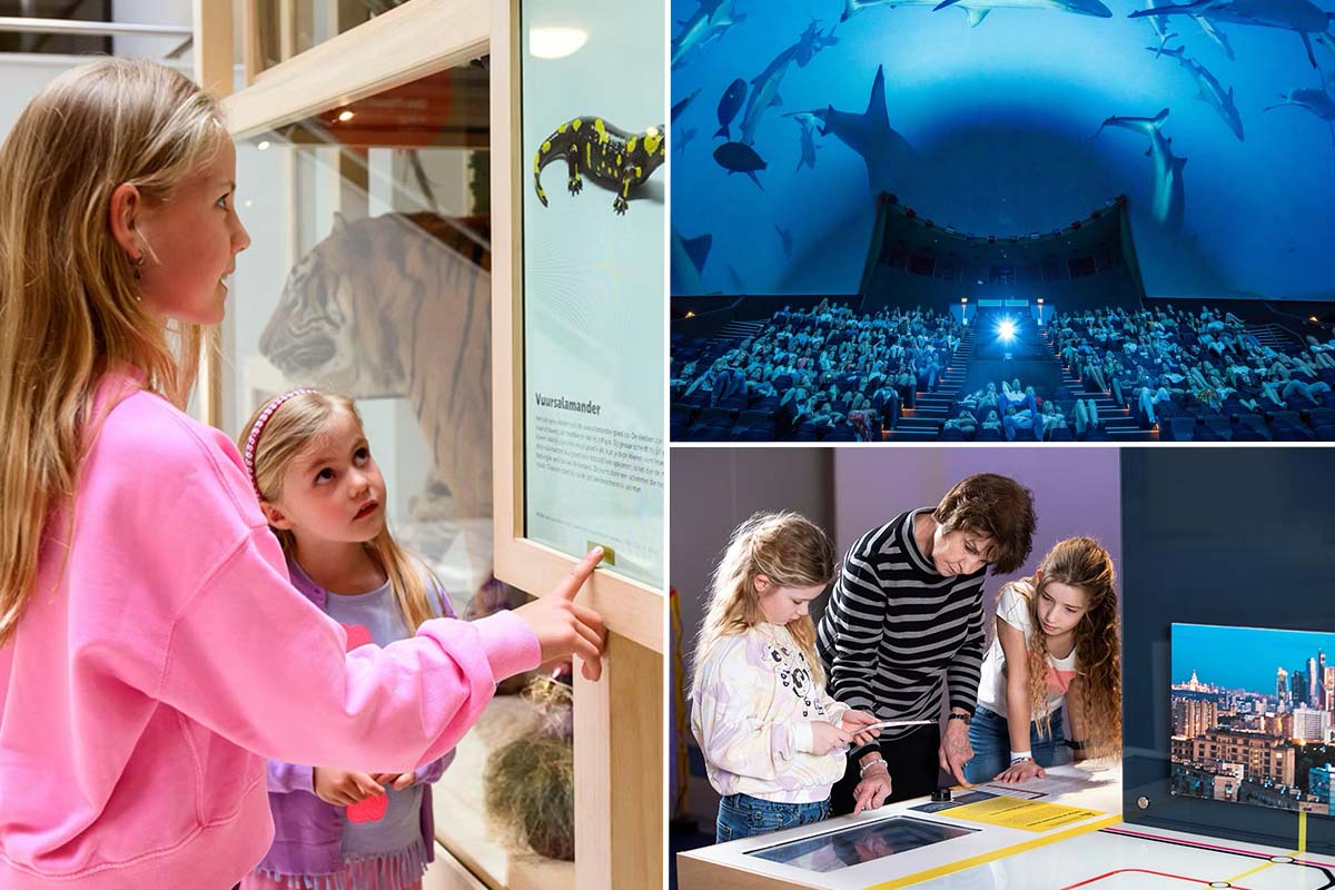 Entreeticket Museon-Omniversum, inclusief 1 grootbeeldfilm