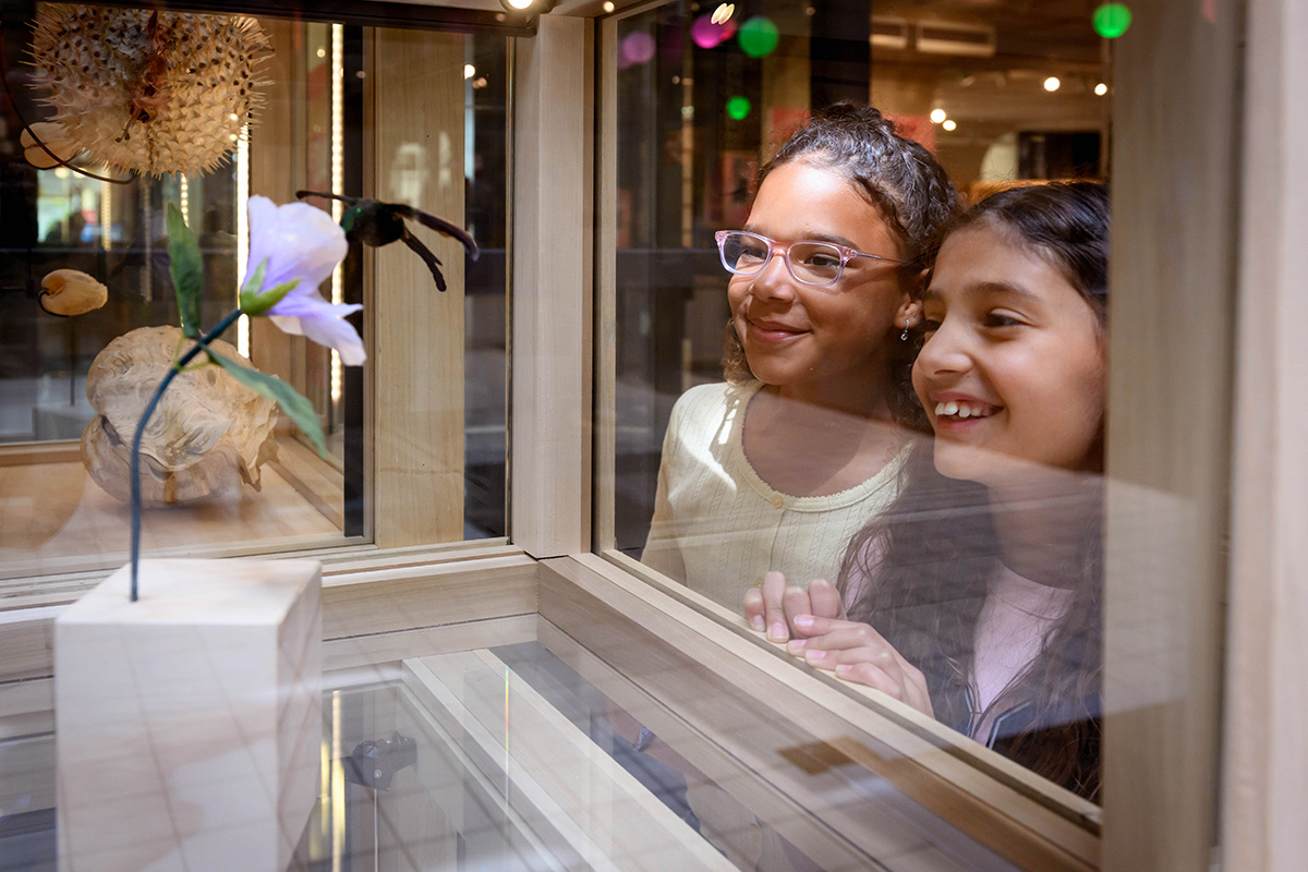 Entreeticket Museon-Omniversum, inclusief 1 grootbeeldfilm